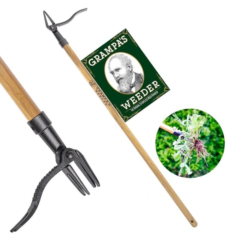 lot 31 image: Grampas Weeder - The Original Stand Up Weed Puller Tool with Long Handle - Made with Real Bamboo & 4-Claw Steel Head Design - Easily Remove Weeds Without Bending, Pulling, or Kneeling.