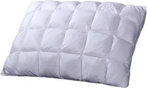 lot 6491 image: $100 sheetsnthings French Bread Firm Neck Support Pillow, Goose Down