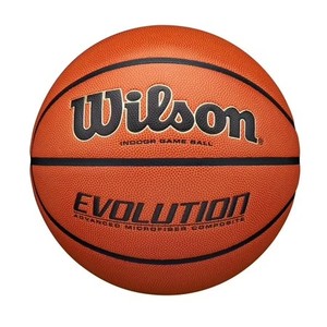 lot 6688 image: $100 Wilson Evolution Indoor Game Basketball - Black, Size 7 - 29.5