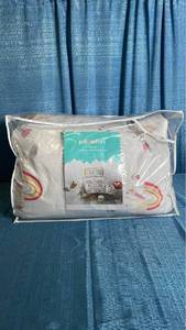 lot 3051 image: Pillowfort Twin Floral Cotton Comforter Set