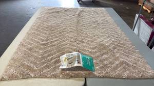 lot 8024 image: Pillowfort Chevron Area Rug 4x6 Beige Cotton