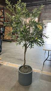 lot 8106 image: Large Artificial Olive Tree in Gray Planter