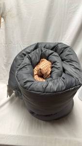 lot 175 image: Coleman Sleeping Bag