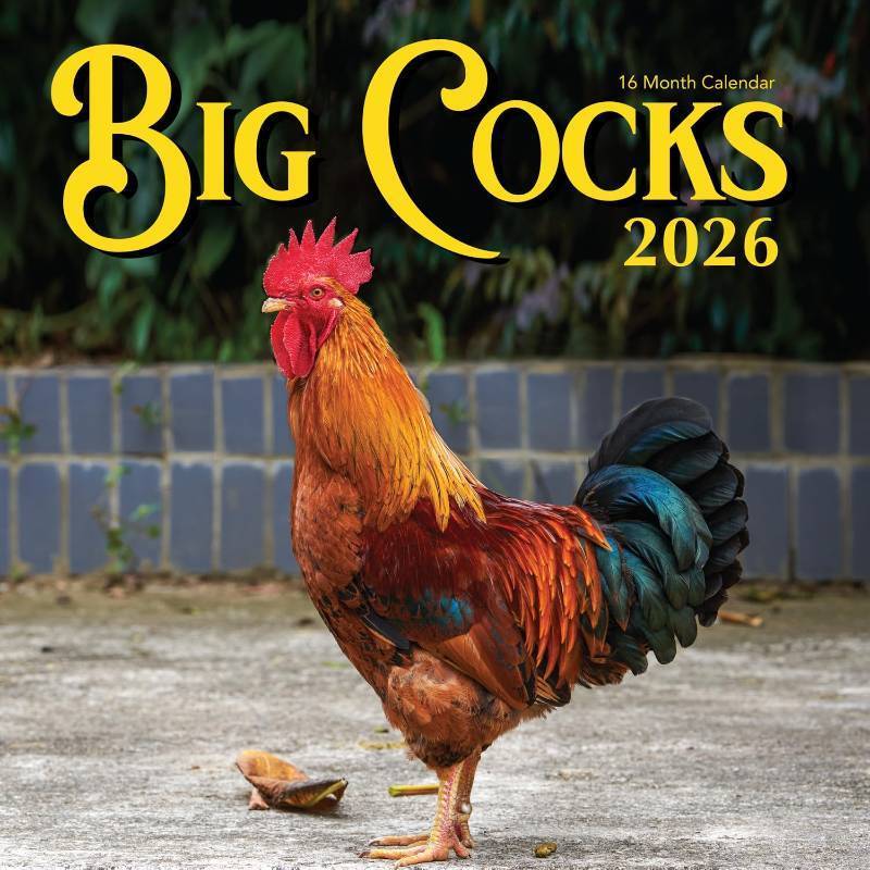 lot 8682 image: 2026 Rooster Wall Calendar  Funny Chicken Daddies Calendar  Big Cocks Birds Monthly 12 Month  Chicken Calendar 2026  Adults Joke Prank Gift  12x24 Wall Calendar