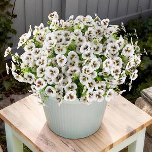 lot 13528 image: INQCMY Artificial Fake Pansy Flowers for Outdoor, 12 Pcs Faux Silk Pansies Spring Summer Flowers for Outside for Planter Pot Porch Yard Patio Front Door Window Box Home Decor