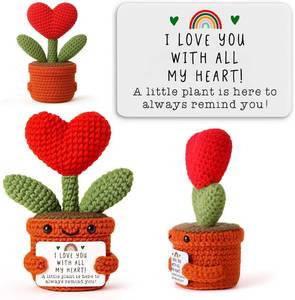 lot 13462 image: Crochet Heart Gift for Girlfriend Boyfriend Wife Husband Mom, Handmade Knitted Doll with Love Card, Valentines Day Anniversary Birthday Present, Christmas Stocking Stuffer, Romantic Couple Keepsake
