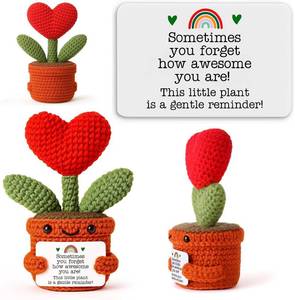 lot 38431 image: Handmade Crochet Heart Gift for Birthday   Encouraging Desk Ornament for Women and Long Distance Partner, Perfect for Recovery Support, Coworker Appreciation, Stress Relief Present