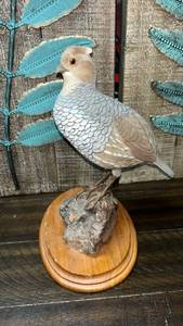 lot 101 image: Hand Carved Wooden Quail on Natural Wood Base