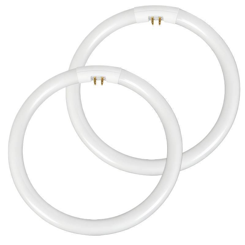 lot 1508 image: Itsall 2-Pack 22W T5 Circular Bulb Compatible with Floxite, Zadro and Rialto Vanity Mirrors, 7.25 Inch Round Fluorescent Tube with G10Q-4 Base, 6500K Daylight&nbsp&nbsp