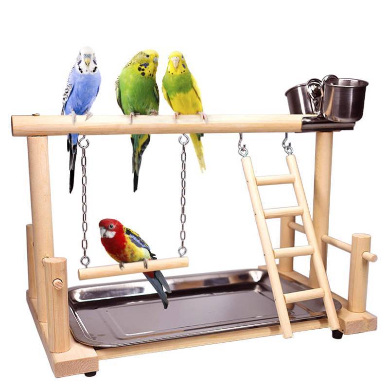 lot 1864 image: kathson Bird Playground,Parrot Play Stand,Parakeet Play Gym with Feeding Cups,Cockatiel Perchs Playstand with Exercise Toys for Budgie Conures Cockatoos Lovebirds - Retail $20