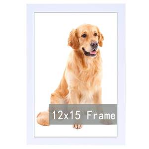 lot 2525 image: RUN HELIX 12x15 Picture Frame in White, Photo Frames with Plexiglass, Horizontal and Vertical Formats for Wall Mounting Wall Frame Poster Picture Frame&nbsp