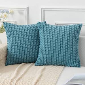 lot 2566 image: Kevin Textile Throw Pillow Covers Soft Corduroy Decorative Set of 2 Boho Striped Pillow Covers Pillowcases Farmhouse Home Decor for Couch Bed Sofa Living Room 20x20 Inch Light Blue - Retail $18