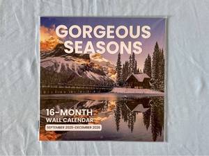 lot 166 image: Gorgeous Seasons 16-Month Wall Calendar 2025-2026 - Retail $0