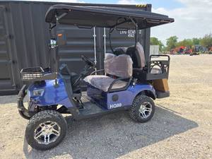lot 304 image: SDLANCH 2026 4-Passenger Golf Cart  HQ80