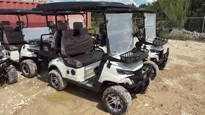 lot 102 image: Unused SDLANCH 2026 4-Passenger Golf Cart SDLC80 - White
