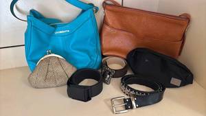 lot 1409 image: Purses and Belts Large