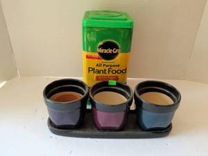 lot 3060 image: Miracle-Gro Plant Food with Small Ceramic Planters Bundle