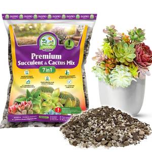 lot 2867 image: DUSPRO Succulents Soil Potting Mix&nbsp 7 in 1 Ingredients Well-Draining, Nutrient-Rich Cactus Potting Soil for Succulents and Cacti, Indoor &amp Outdoor Use, Ready to Use, Supports Healthy Root Growth, 1QT - Retail $13
