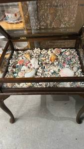 Glass Display Case Coffee Table with Seashell Collection