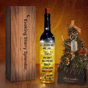 lot 1254 image: 2025 Unique Friendship Gifts for Women - Wine Bottle Lights with Cork, Birthday Friendship Gift Ideas for Women Who Have Everything Girls Boys (Black)