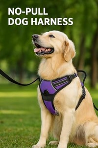 lot 1278 image: XL TiMT No-Pull Dog Harness, Adjustable Padded Vest, Soft, Comfy & Breathable for Easy Walking and Control, 2 Front & Back Leash Clips Reflective No Choke