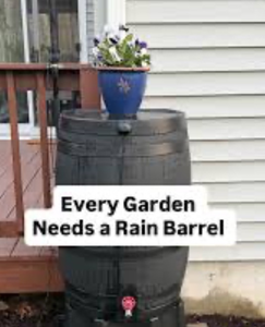 50 Gallon Rain Barrel Water Collection System - Retail: $356