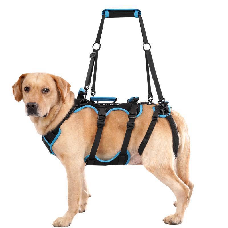 lot 23119 image: Lafoty Dog Lift Harness for Large Male Dogs, 2-in-1, Back Leg Support & Mobility Assistance for Senior Dogs, Post-Surgery Recovery Sling(Black, Large) - Retail $110