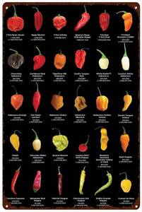 lot 26352 image: Retro Metal Tin Sign - 8 X 12 Inches The Big List of Hot Peppers - Hot World of Chili Print - Home Wall Decor - Anniversary, Birthday, Christmas, Housewarming Gift - Rustic Room Decor