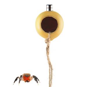 lot 31199 image: NANEEZOO Spider Hide Magnetic Jumping Spider Habitat Made of Natural Gourd, Handmade Insect Hideout Enclosure Accessories, Cute Decoration for Terrarium Cage - Retail $7