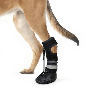 lot 2848 image: Idepet Dog Drop Foot Brace Strap On (No Knuckling Boot Brace) Dog Boot Leg Braces for Leg Support, Dog Shoes Lift Toes for Foot Issues, Arthritis, Pet Corrector for Dogs (7)