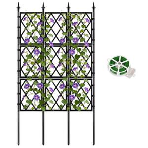 lot 2930 image: DEVISEFUN 5.25FT Metal Garden Trellis for Climbing Plants Outdoor and Indoor, Black Iron Pipe Support Fence Climbing Plant Frame Wall Trellis with Garden Twist Tie for Ivy Vines Vegetable Flower