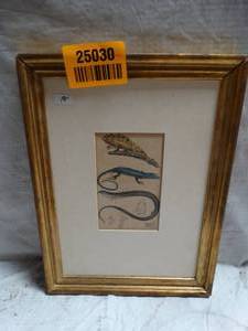 lot 25030 image: 1834 Chameleon & Skink lizard print