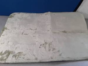 lot 707 image: Light Green Bathroom Mat - Retail $0