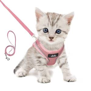 lot 907 image: BLACK, NOT PINK TwoEar Cat Harness and Leash, Soft Dog Vest Harness Adjustable, Breathable Mesh Step-in Puppy Walking Jacket Reflective Easy Control for Extral Small Pets for Outdoor Walking (XXXS,) - Retail $16
