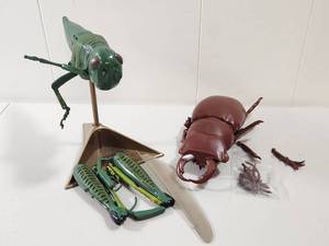 lot 173 image: Educational Insect Display Set with Stand Vintage