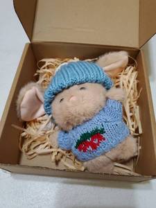 lot 63084 image: Cute Easter Gift Plush in a Box Hugs Positive Bunny Stuffed Animal Soft Floppy Easter Ideas Basket Stuffers Doll Emotional Support Inspirational Gifts (D1) - Retail $12