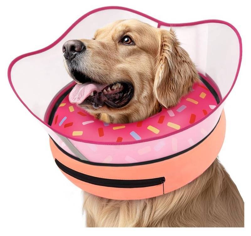 lot 57643 image: Raised Inflatable Dog Cone Collar to Stop Licking, Soft Dog Cone Alternative After Surgery, Doggie Neck Donut Collar for Large Dogs - Retail $30