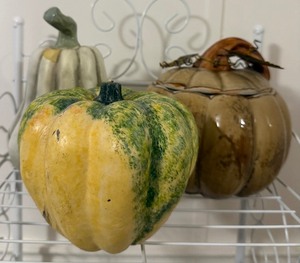 lot 9 image: Decorative Pumpkin & Gourd Autumn Dcor Lot