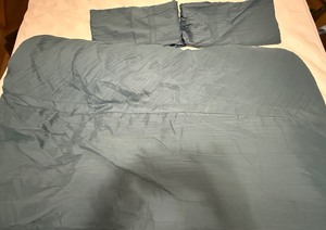 lot 101 image: Broyhill Comforter and Shams