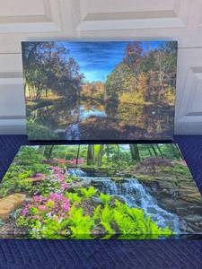 lot 125 image: Nature Landscape Canvas Print Set - Forest Stream and Fall Foliage