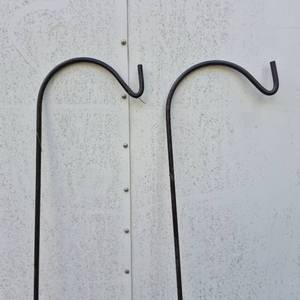 lot 137 image: Black Metal Shepherd Hook Garden Stakes Set Great Preowned Comdition