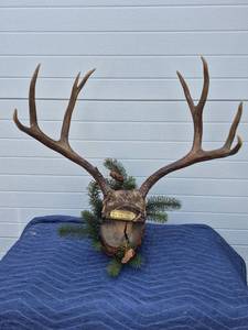 lot 141 image: Deer Antler Mount with Faux Taxidermy Head
