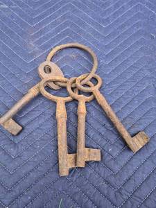lot 354 image: Cast Iron Skeleton Keys Set with Ring