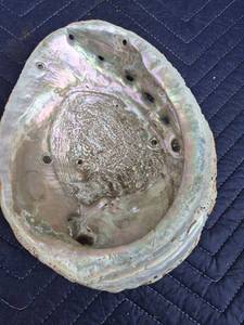 lot 373 image: Large Abalone Shell with Natural Mother of Pearl Interior