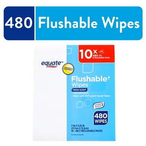 lot 37470 image: Equate Flushable Wet Wipes  Fresh Scent  480 Wipes (10 Pack)