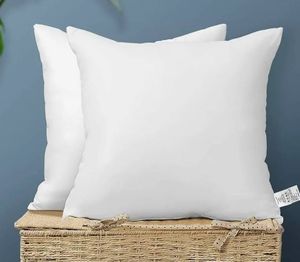 lot 40406 image: Accent Home 18in x 18in Pillows 2 Pack
