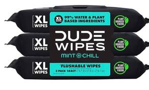 lot 41771 image: Dude Wipes Mint Chill XL Flushable Wipes -7 Packs, BEST BY 07182028