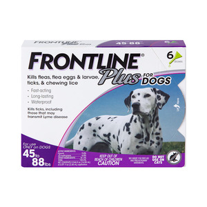 lot 41818 image: FRONTLINE� Plus for Dogs Flea and Tick Treatment  Large Dog  45-88 lb  Purple Box  6 CT