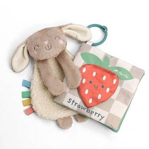 lot 41942 image: Itzy Ritzy Learn & Snuggle Gift Set, Multi