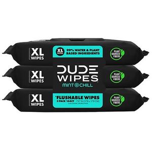 lot 41962 image: DUDE Flushable Wipes  Extra Large Mint Chill Wet Wipes  48 Count  3 Pack (144 Total)